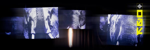 ODDIKgg Profile Banner