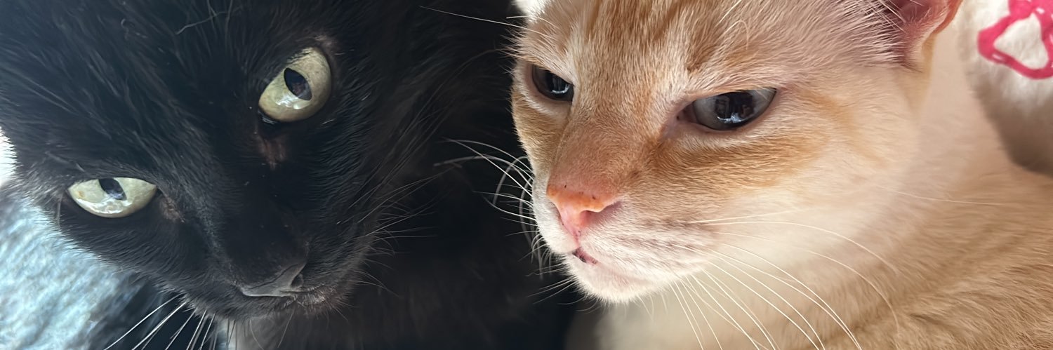 L4R0501's profile banner image