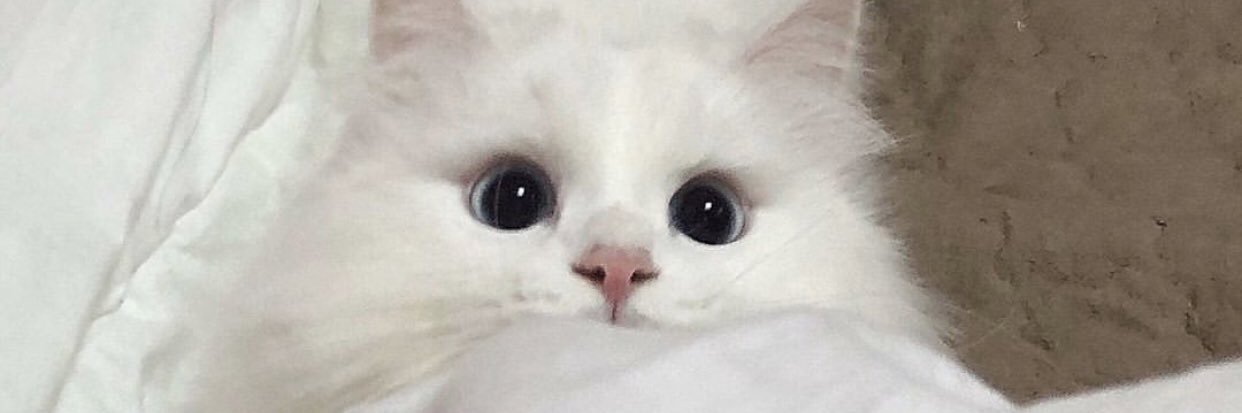 atikafrds's profile banner image