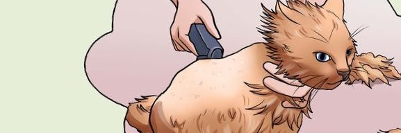 ShaveYourPussyBSC banner