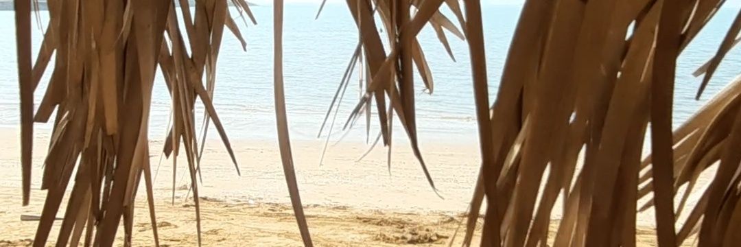 atef3h's profile banner image