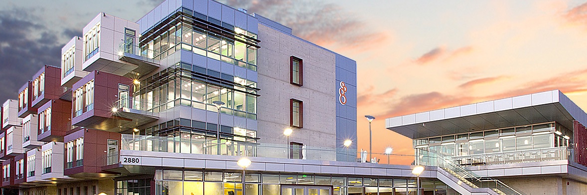 Center for Perinatal Discovery banner