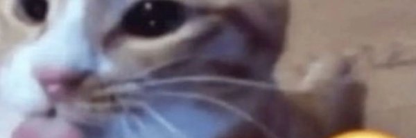 numbzin Profile Banner