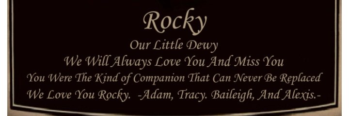 Adam.'s banner