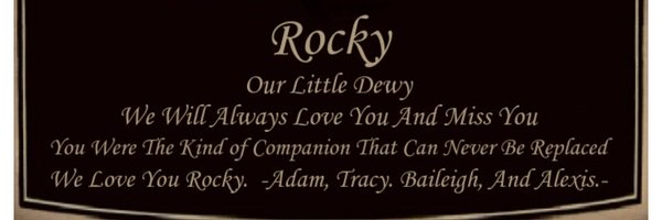 Asandry4 Profile Banner