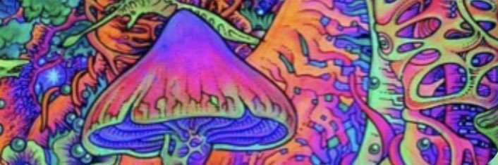 jennanicj's profile banner image