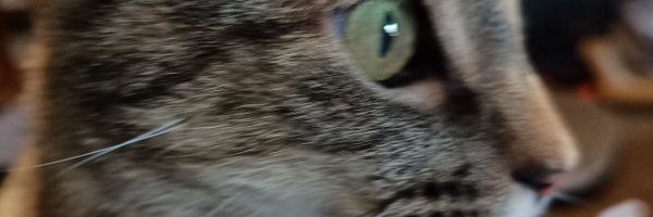 MarySmith2021 Profile Banner