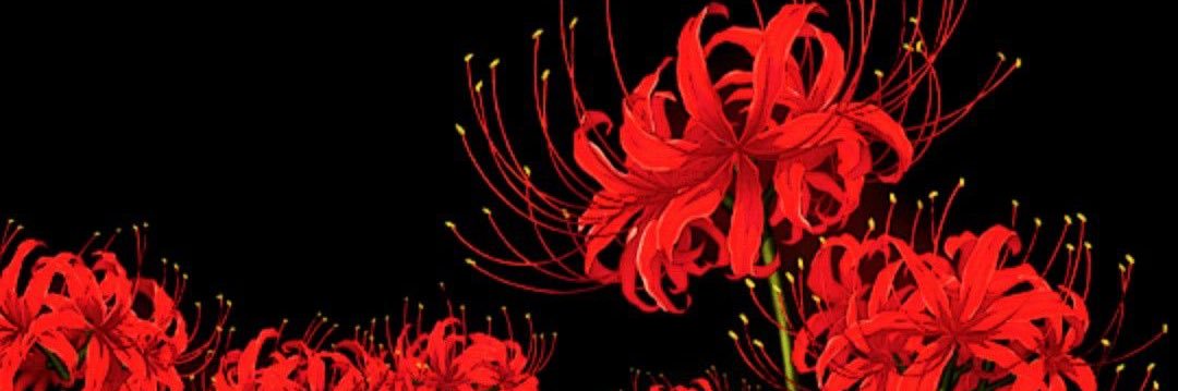 raspycake's profile banner image