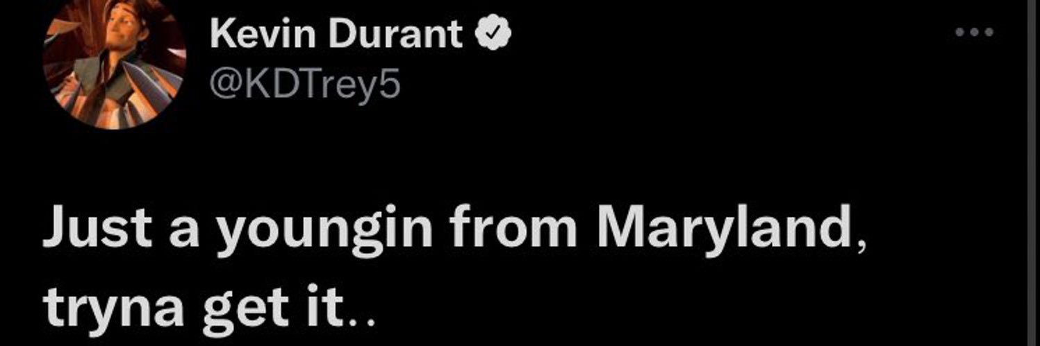 d's banner