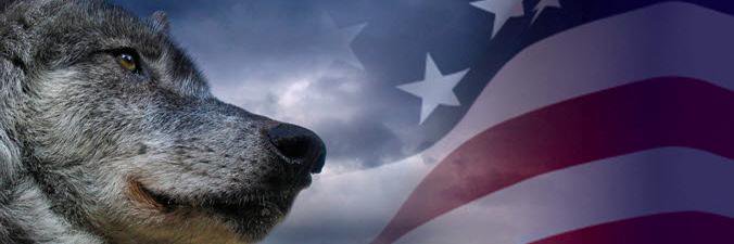 Preez14's profile banner image