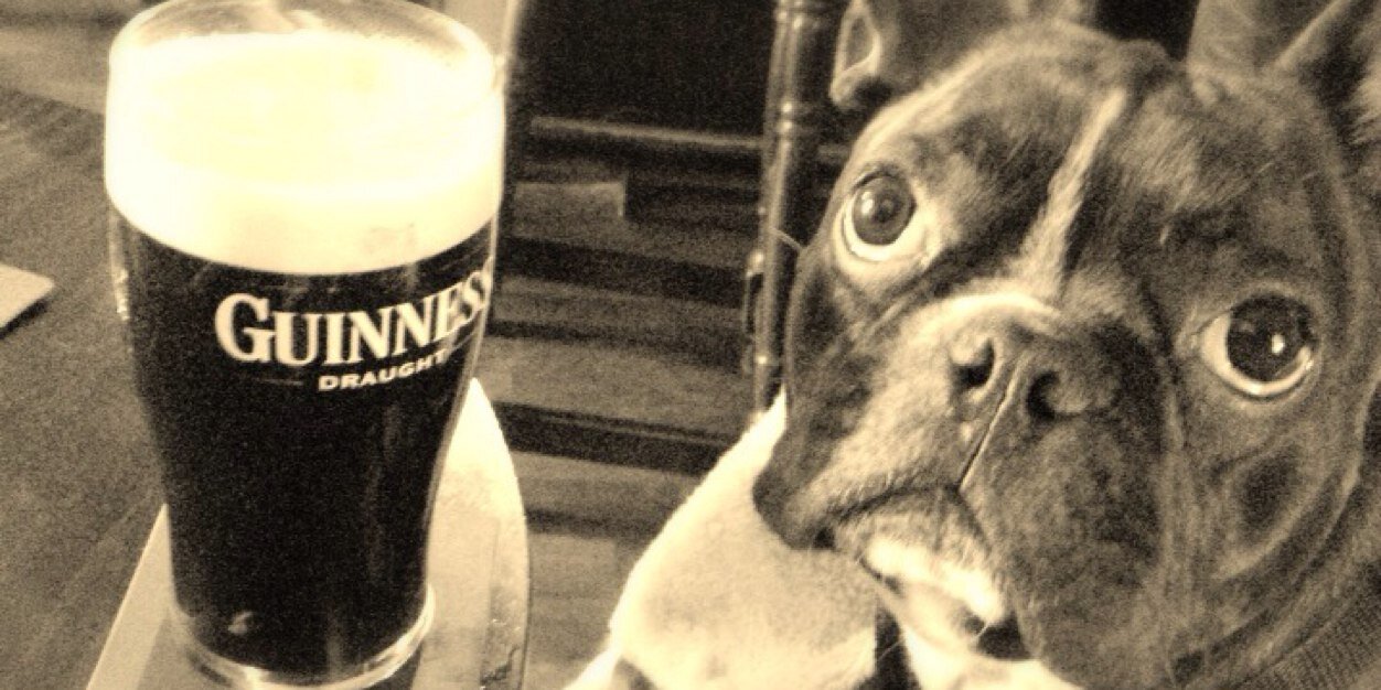 stanleyfrogdog's profile banner image
