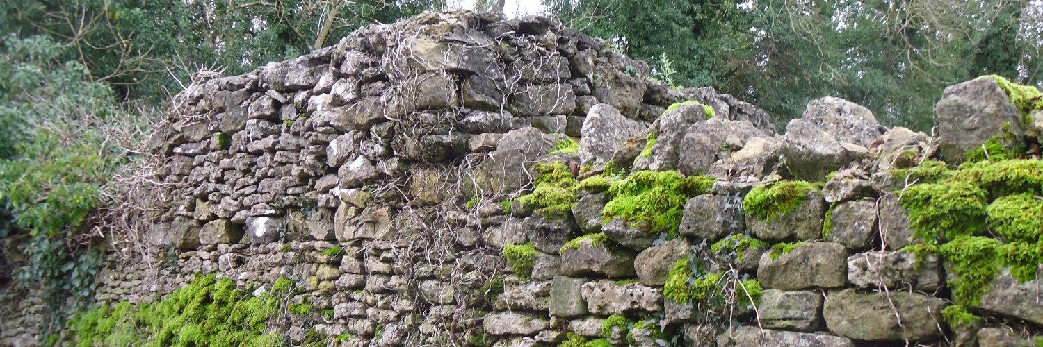 Dr. Jennifer Daley banner