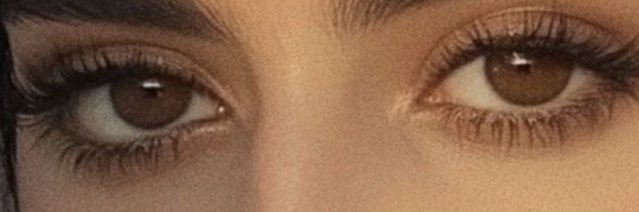𝑡 ➹. banner