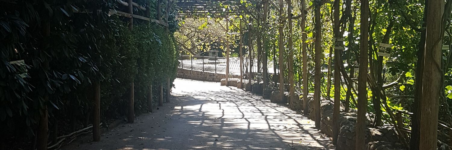 kadimcan's profile banner image