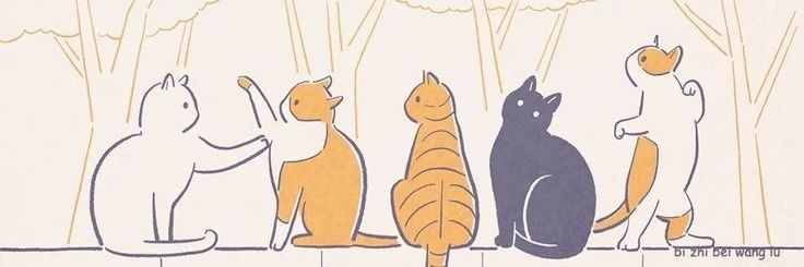 KiBo1102's profile banner image