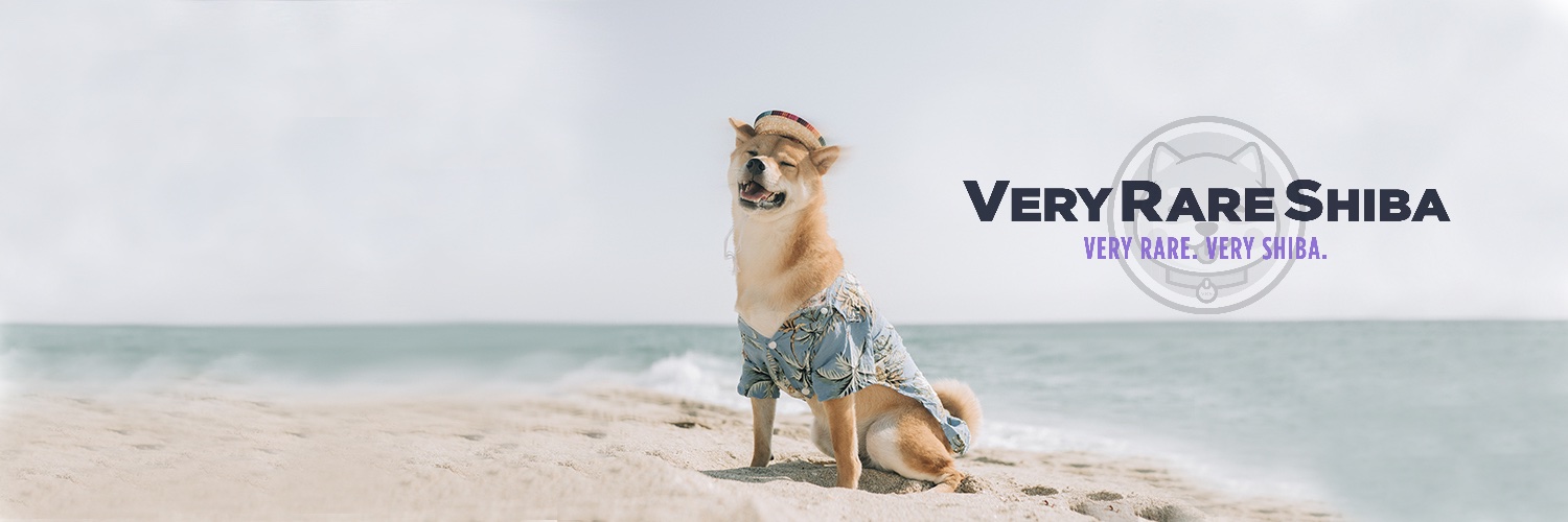 VeryRareShiba's profile banner image