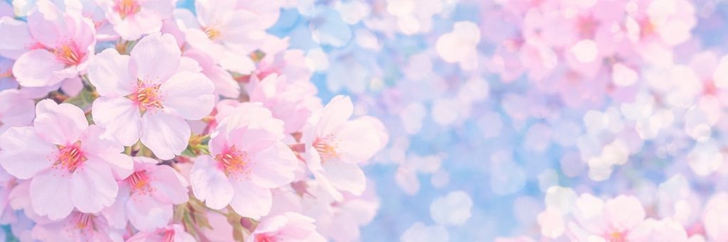 かおる(桜田 薫) banner