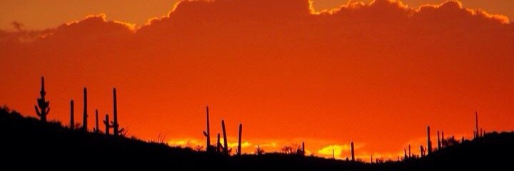 YikaTRS's profile banner image