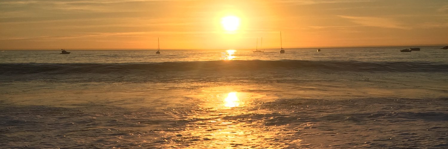 corinawithlime's profile banner image