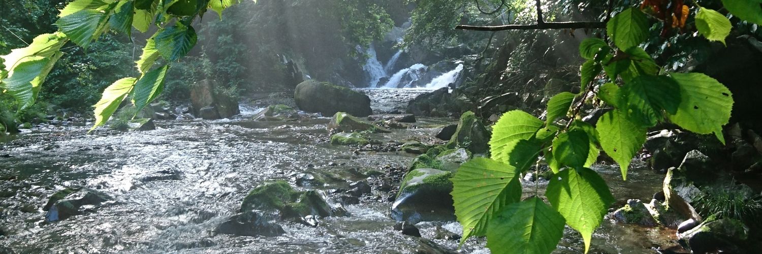 oh_giha_rat's profile banner image