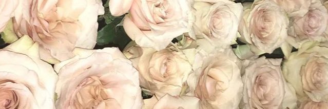 irevp's profile banner image