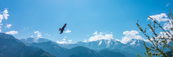 tjchambers23 Profile Banner