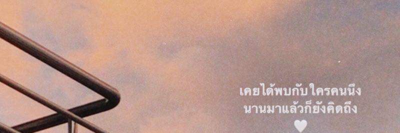 Levi banner