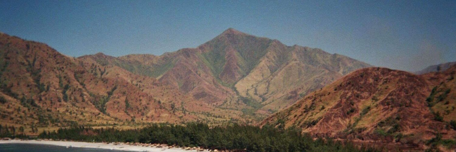 itsneeeks's profile banner image