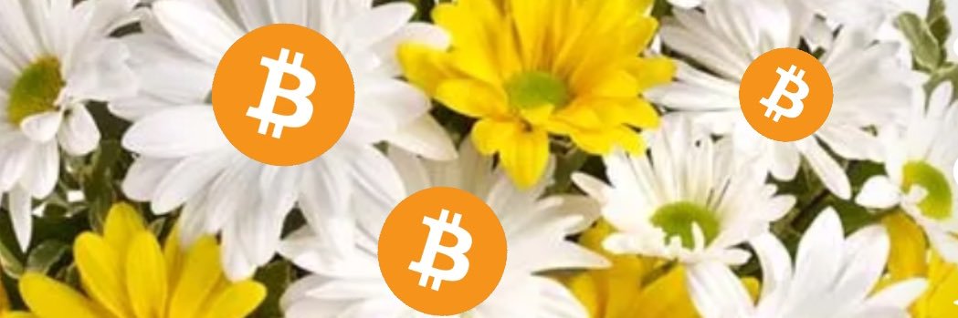 yoloTrader69.gmi banner