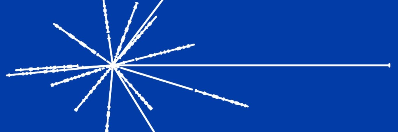 AutumnStranded 🇺🇦 banner