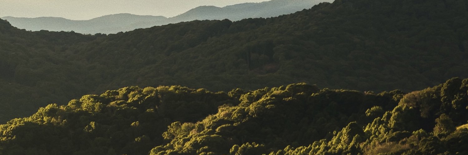 Snapped by Carson banner