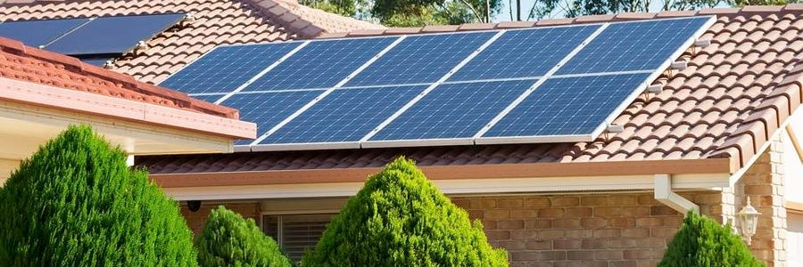 IndiandesiX(Pro Diversity,human rights) banner