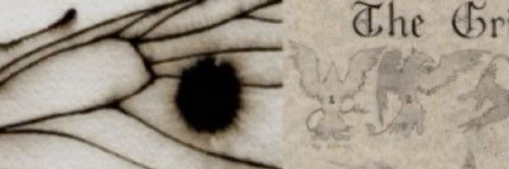 bluelrae's profile banner image