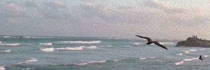 _ToledoZoe's profile banner image
