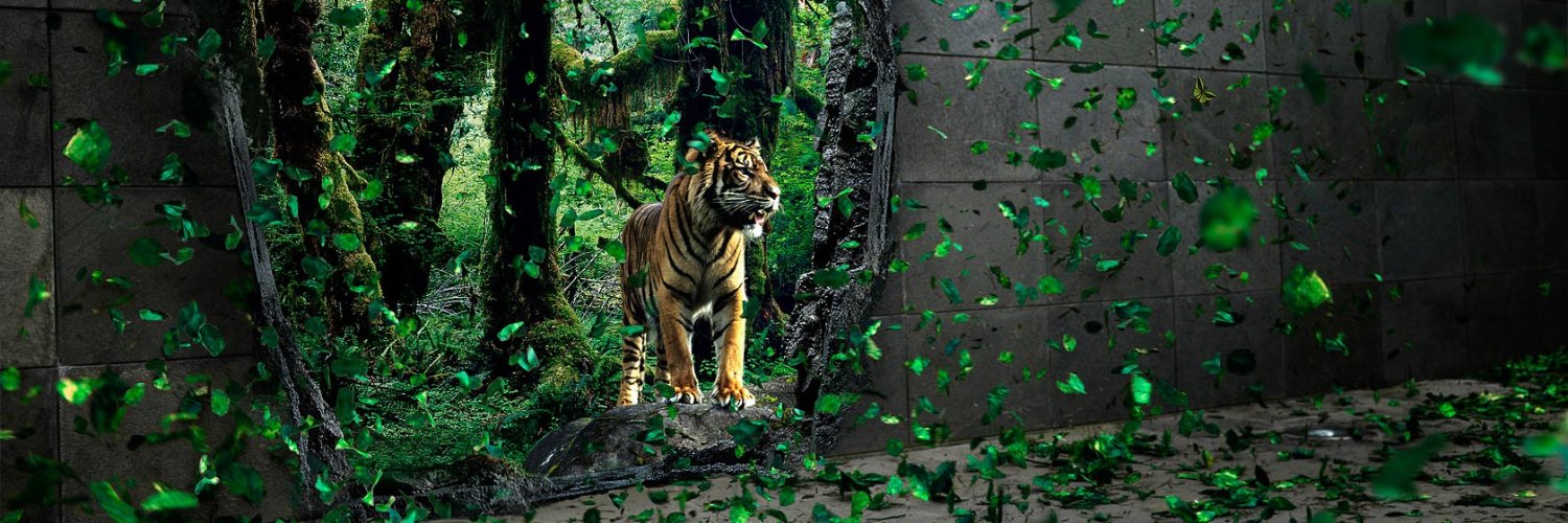 rangu_4u's profile banner image