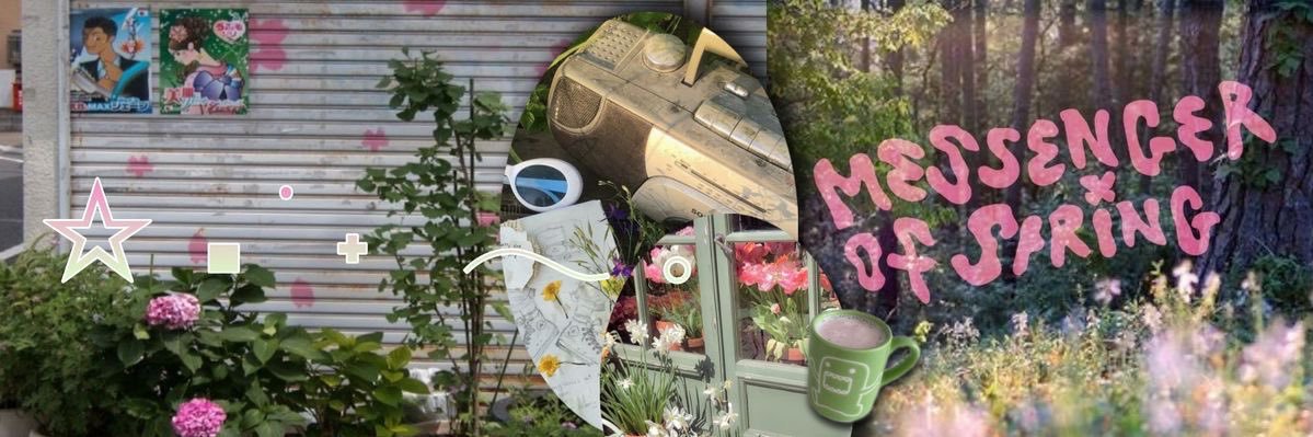 ୨ৎ's banner