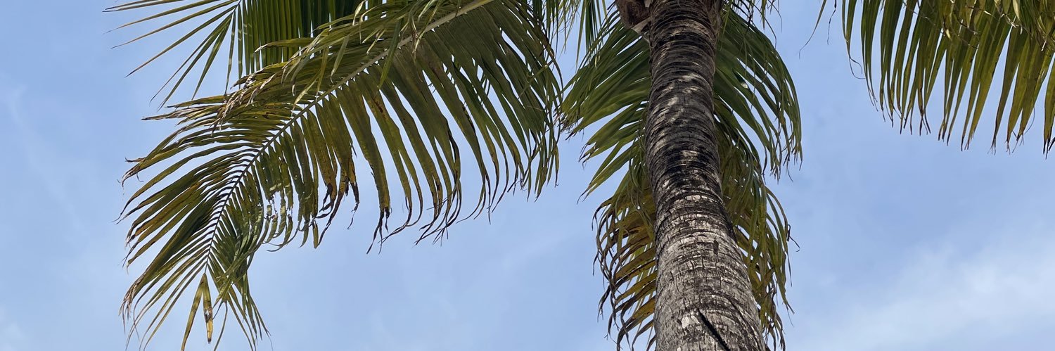 lizbth_07's profile banner image