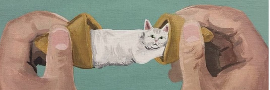 brownbreadbox's profile banner image