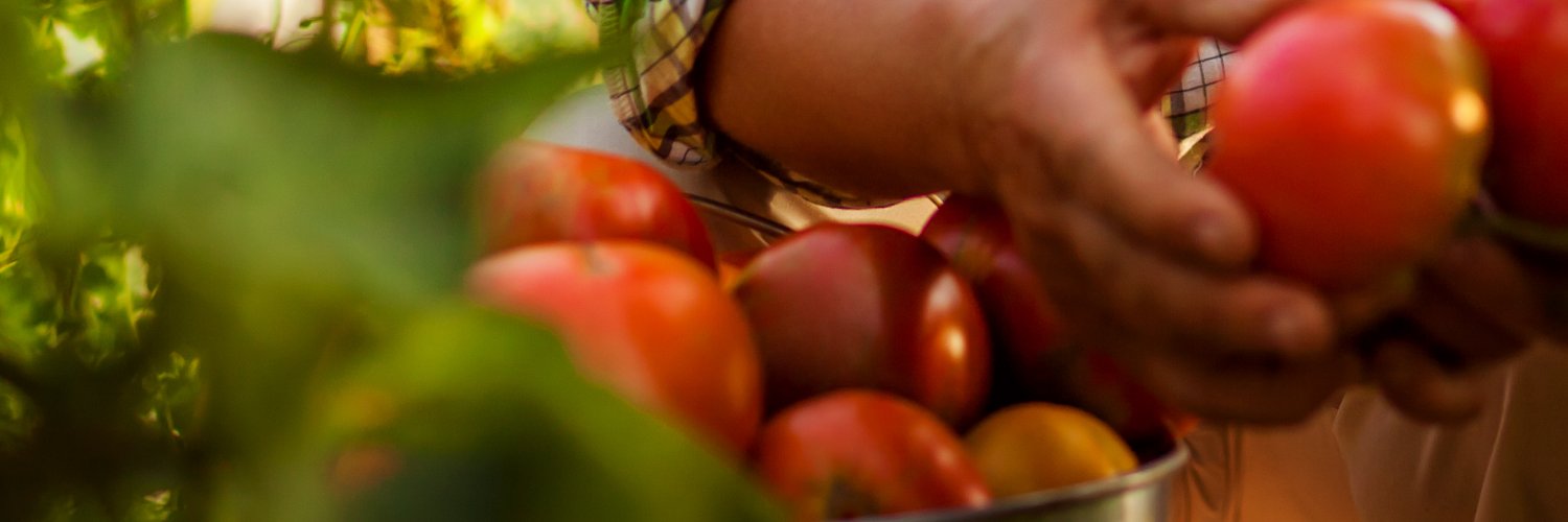 COACH_EUProject banner