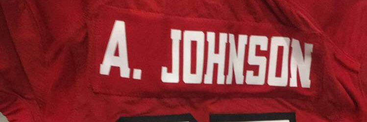 Andre Johnson II banner