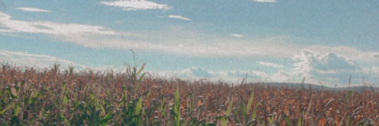 castillom2806's profile banner image