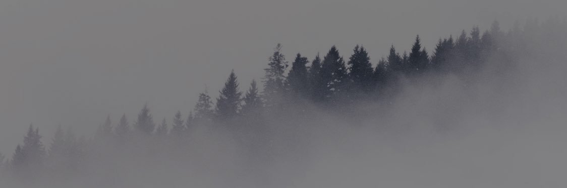 foreigntrades.crypto banner