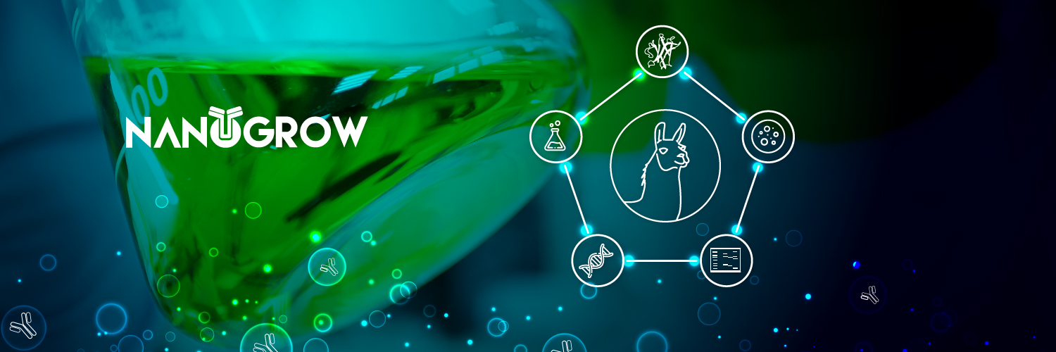 NanogrowB's profile banner image