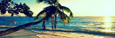 Radio_ChartsFM's profile banner image