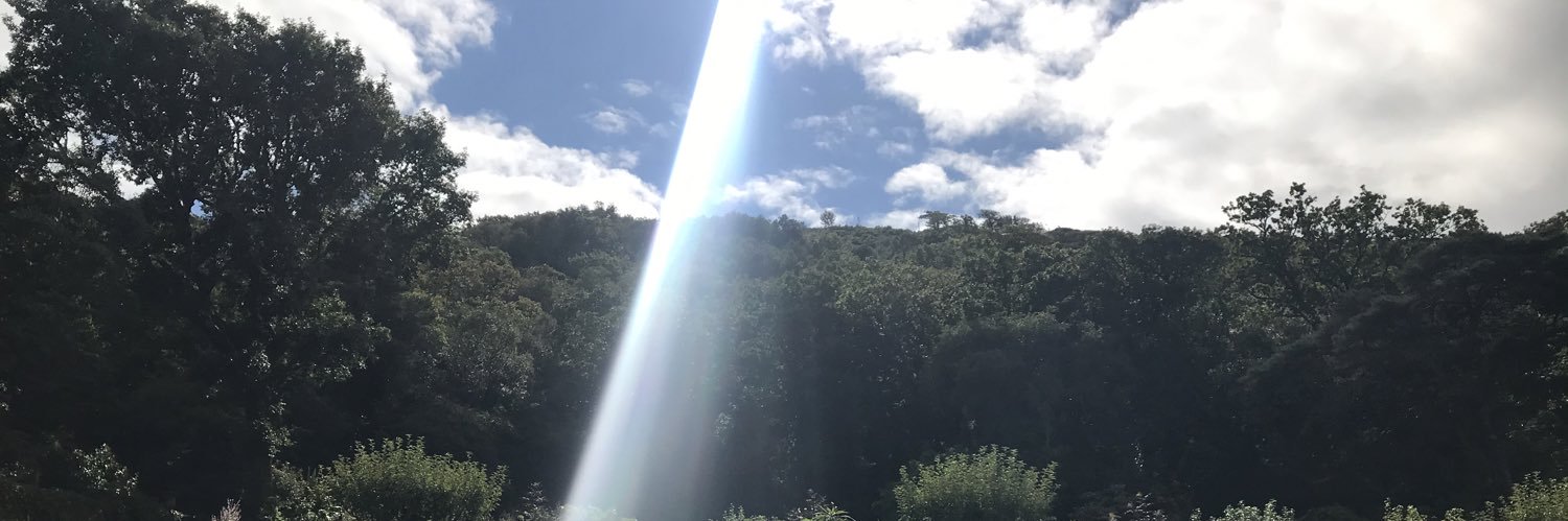 Clodagh Foley banner