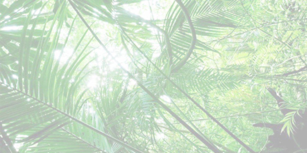 VanessasWildcat's profile banner image