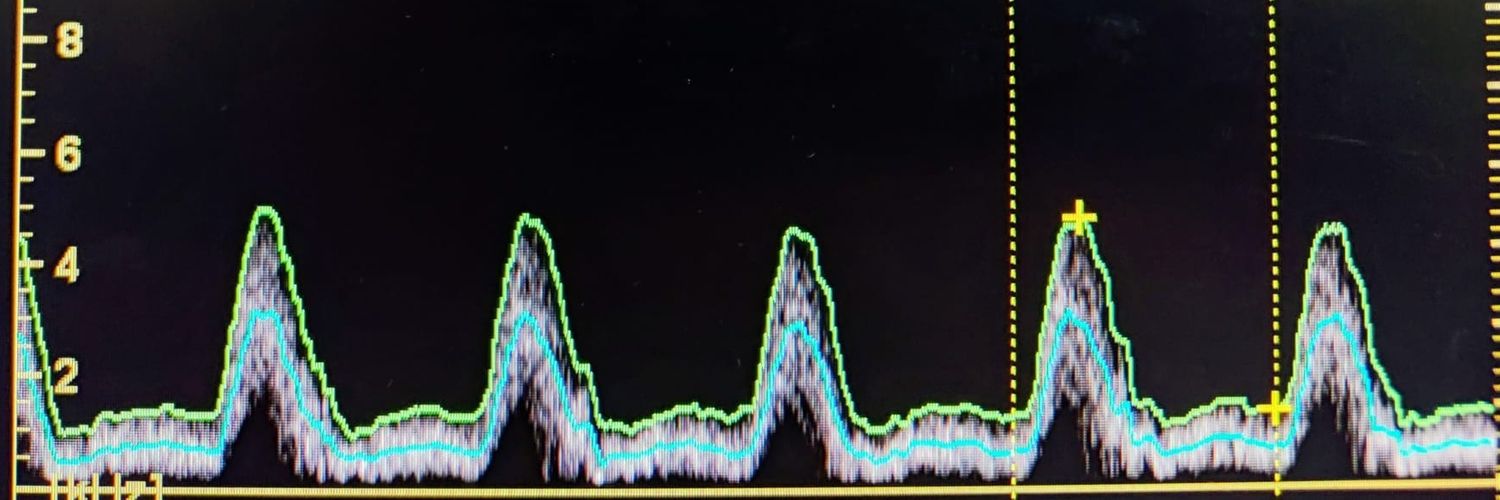 Eduardo J.Banegas Deras banner