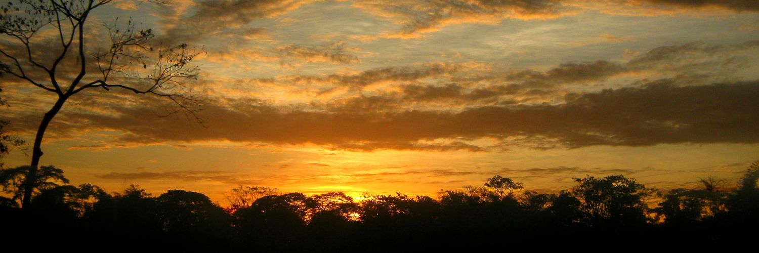 Paula Andrea banner