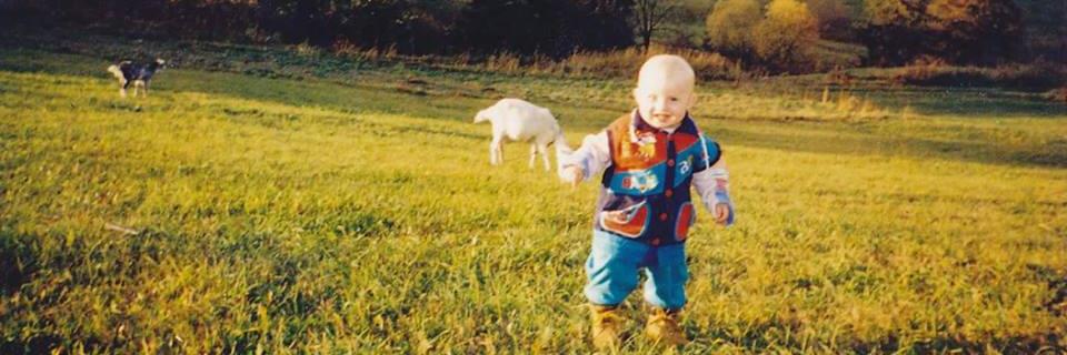 Wapnariss's profile banner image
