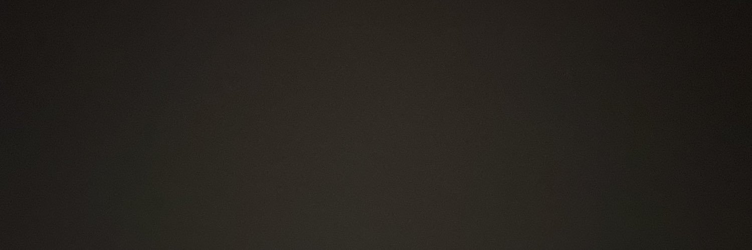LDarneau's profile banner image